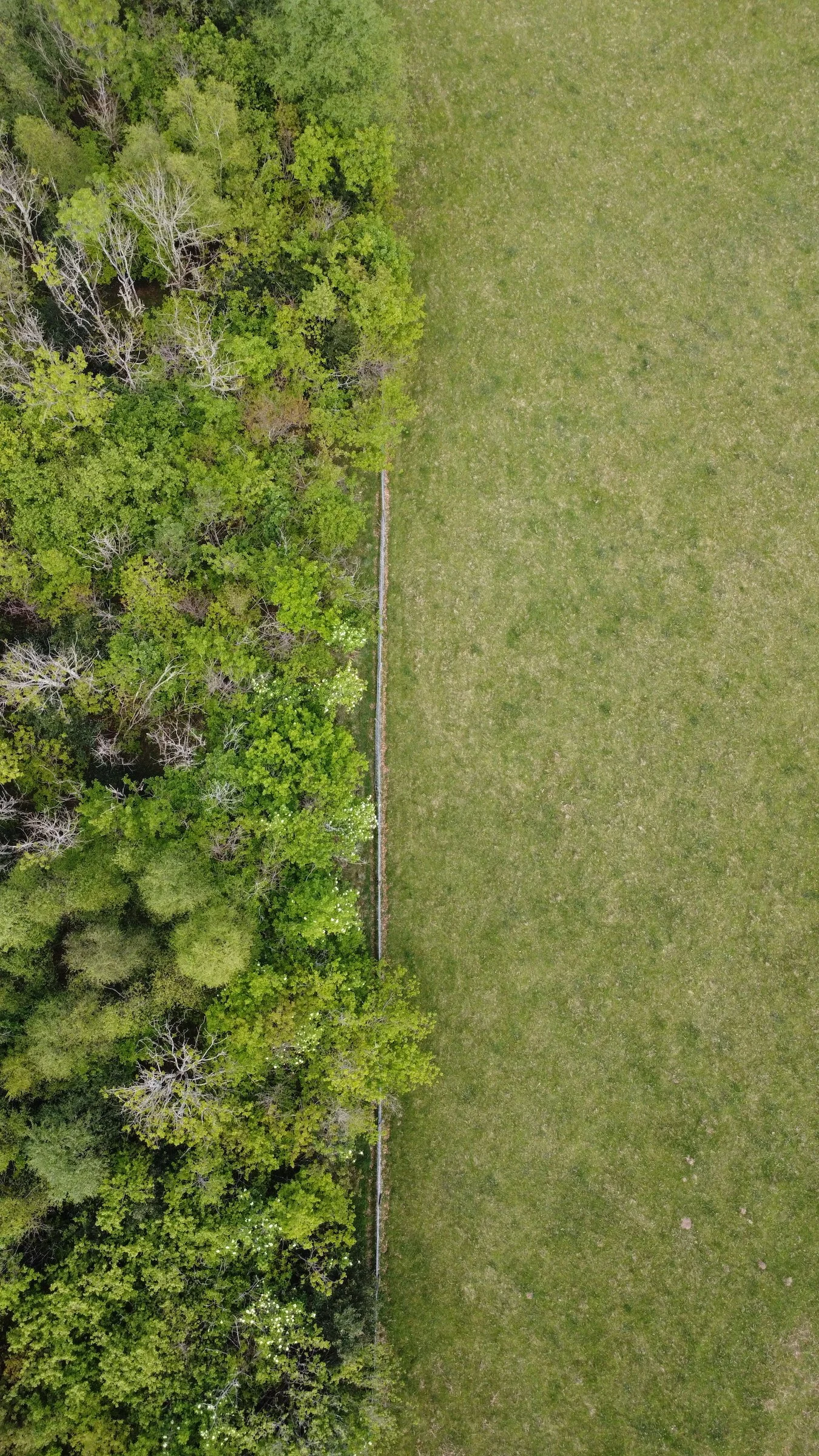 DJI_0517.jpeg