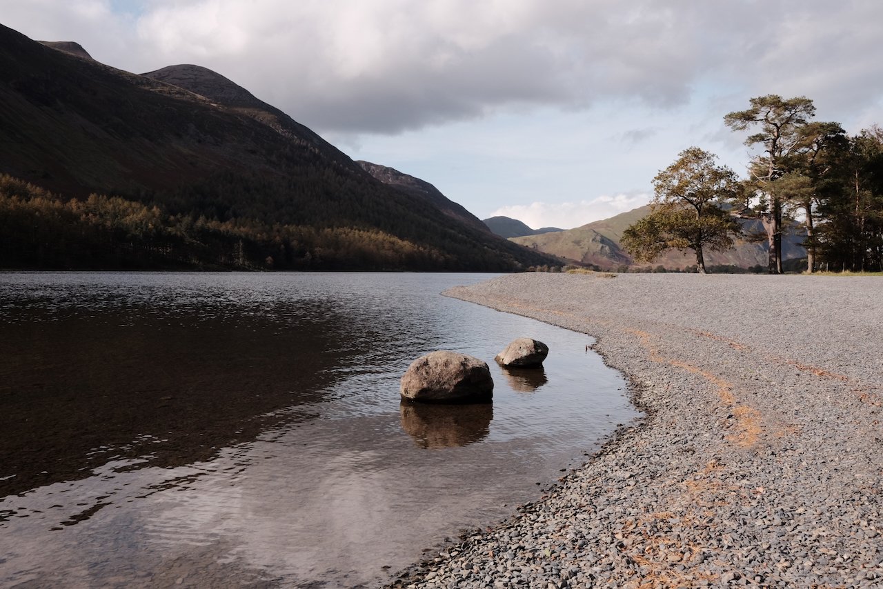 Stony beach with autumnal leaves lining the shore, pine trees and mountains above the lake at Buttermere, Lake District National Park