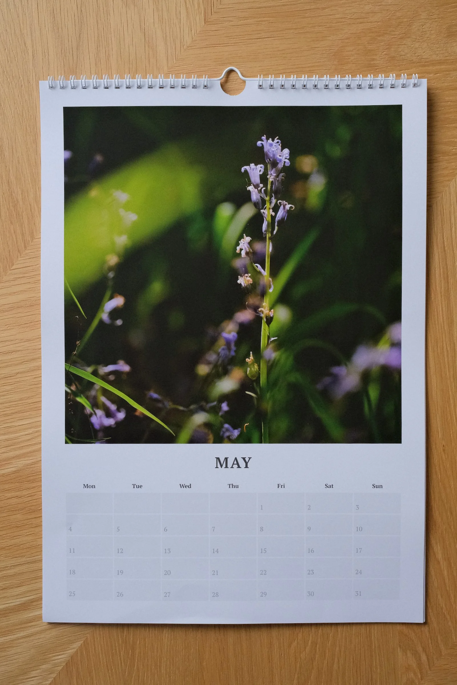 Dartmoor2026Calendar14.jpeg