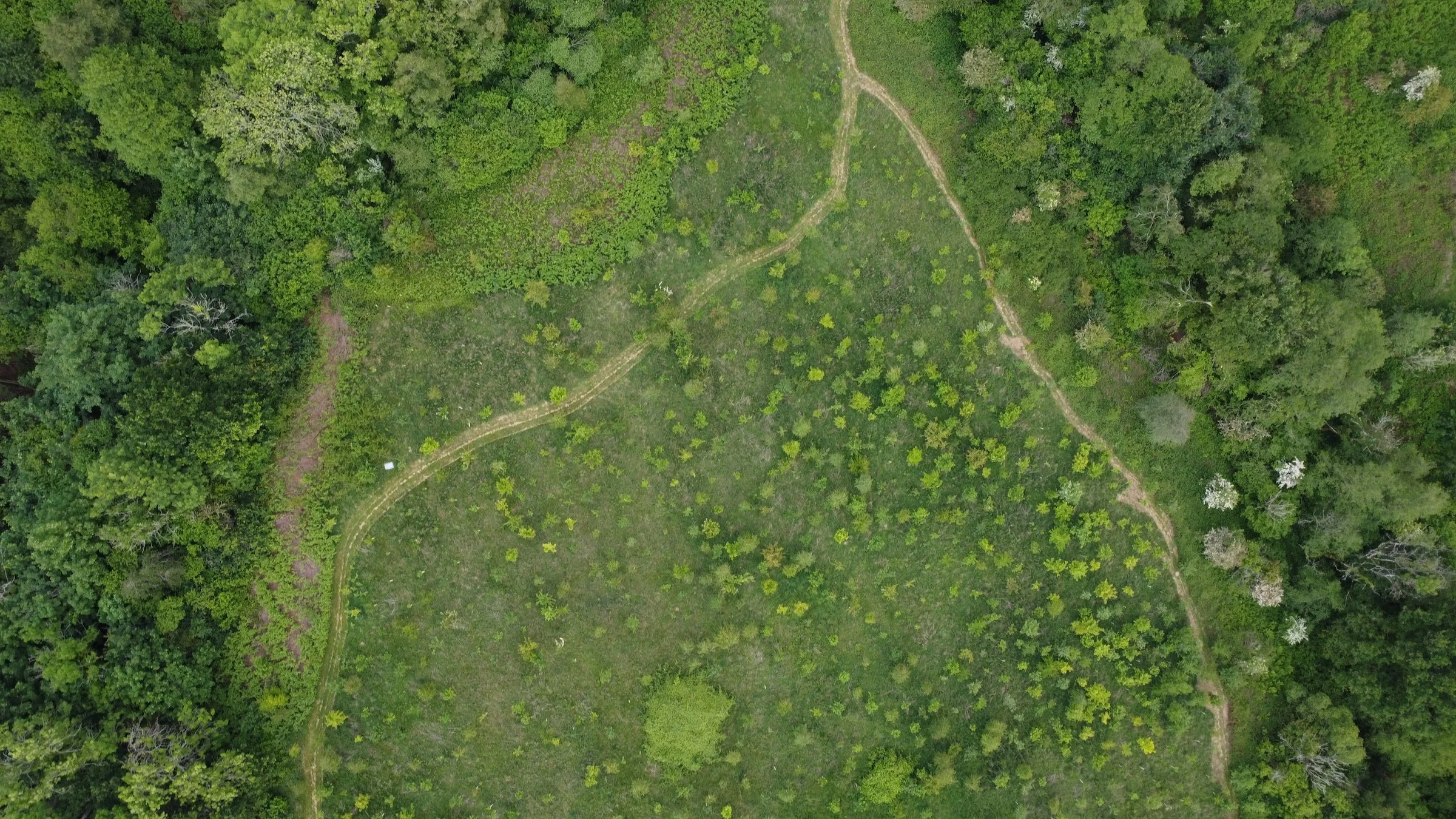 DJI_0546.jpeg