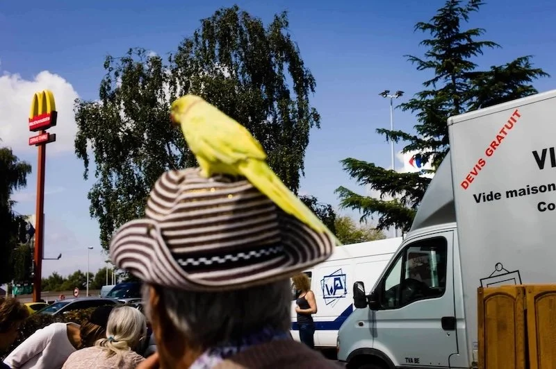 street photography of a man and a bird