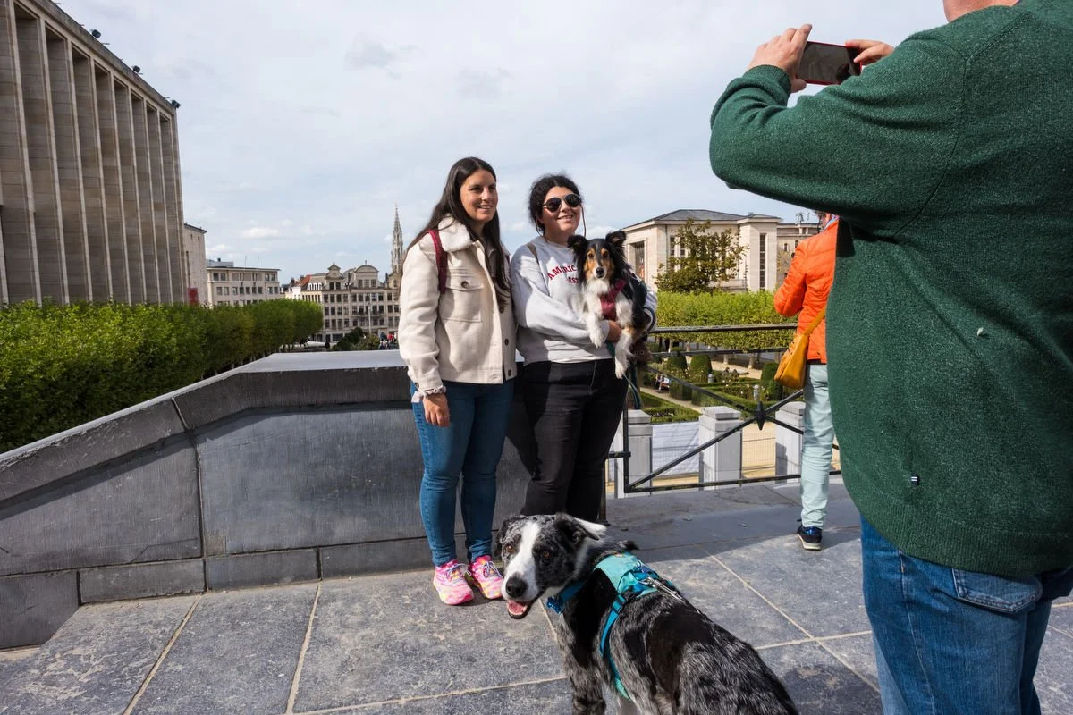 tourist photographing his loved ones in the center of Brussels with dog looking into the camera