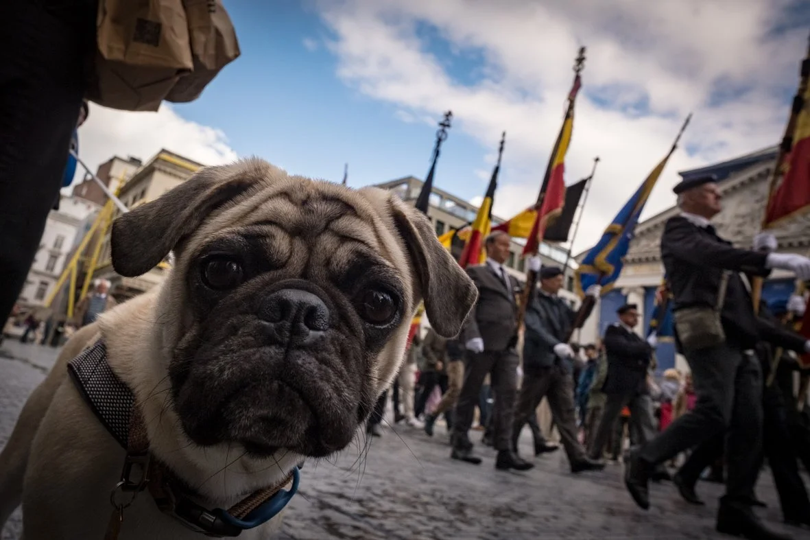 Autumn Street photography course Brussels October 2025
