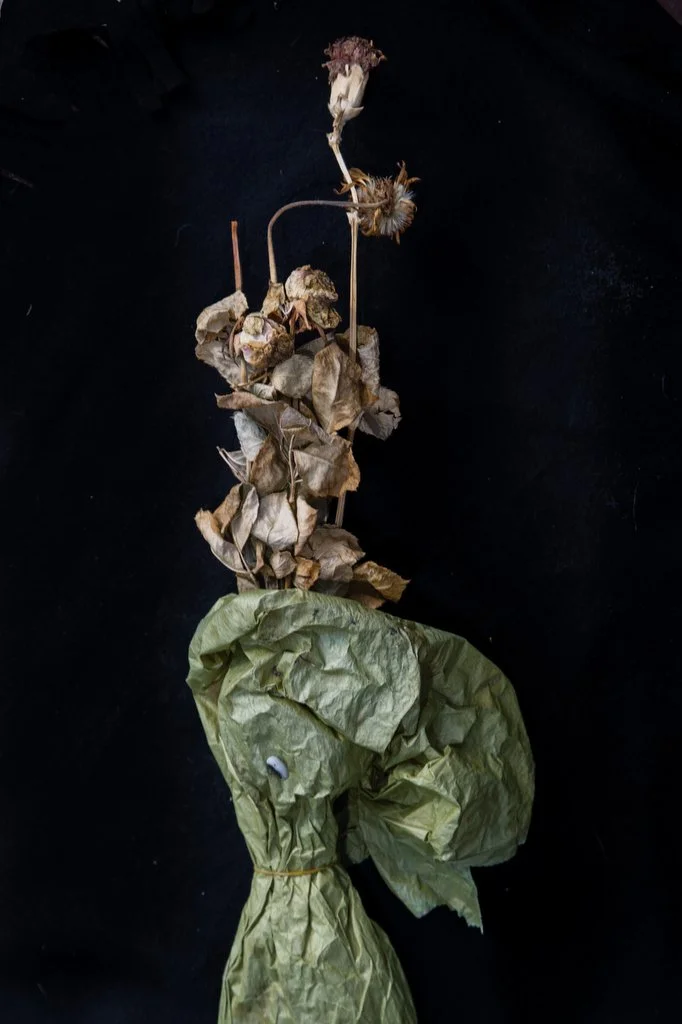 006Totems of Peace in the Wake of Terror160519A.JPG