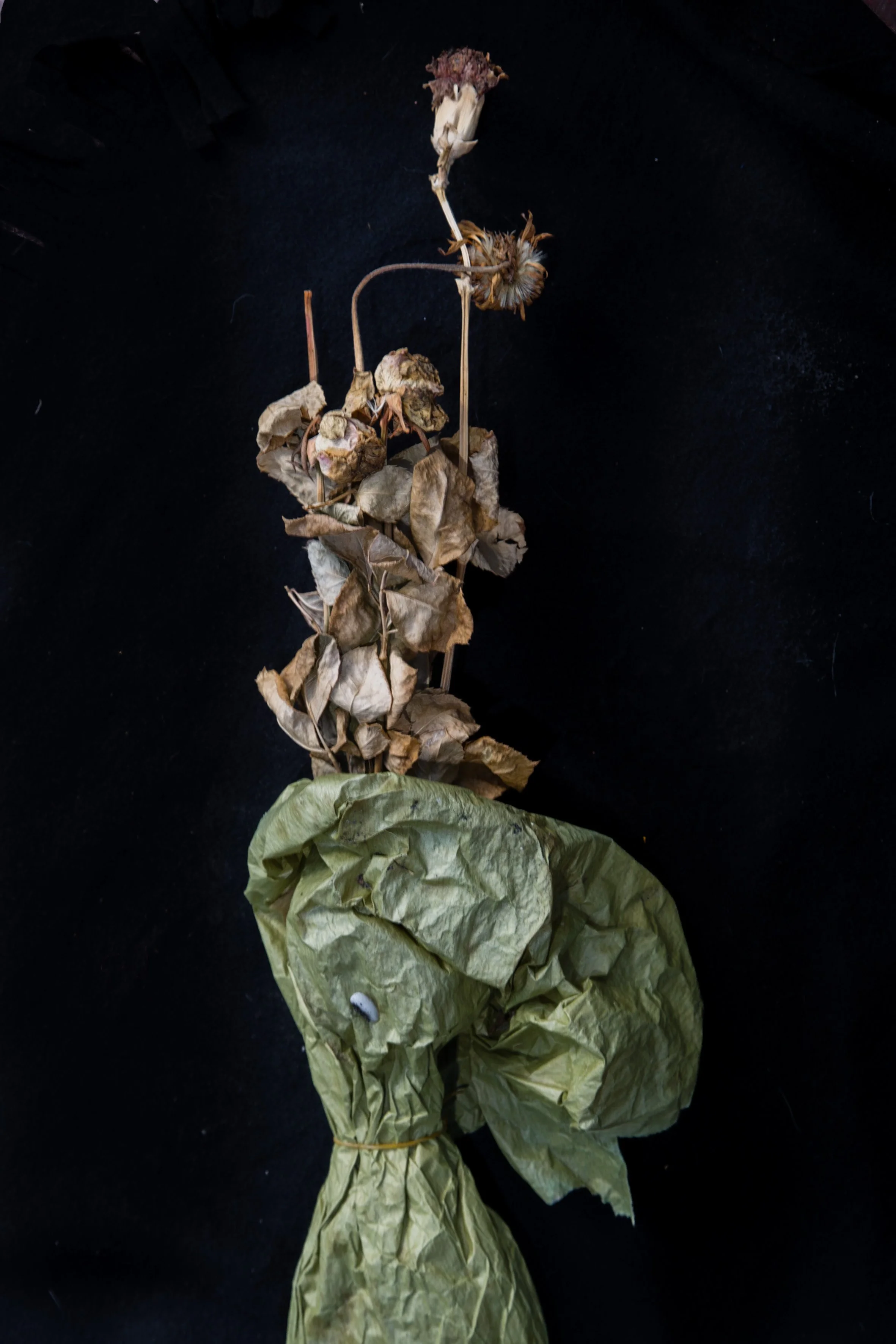 006Totems of Peace in the Wake of Terror160519.jpg