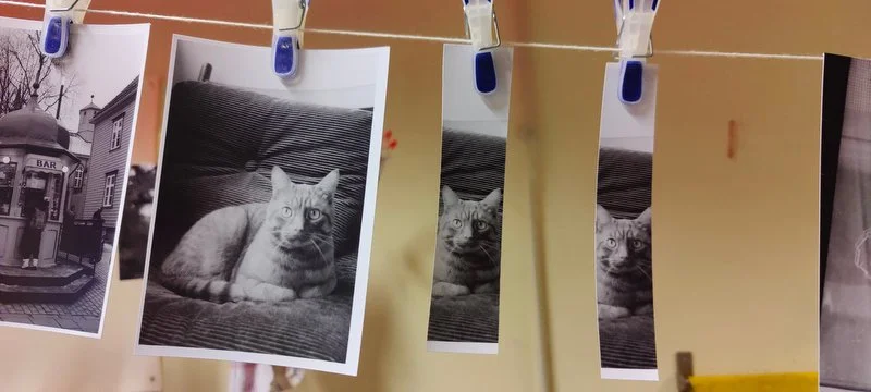Darkroom printing  voucher in Brussels