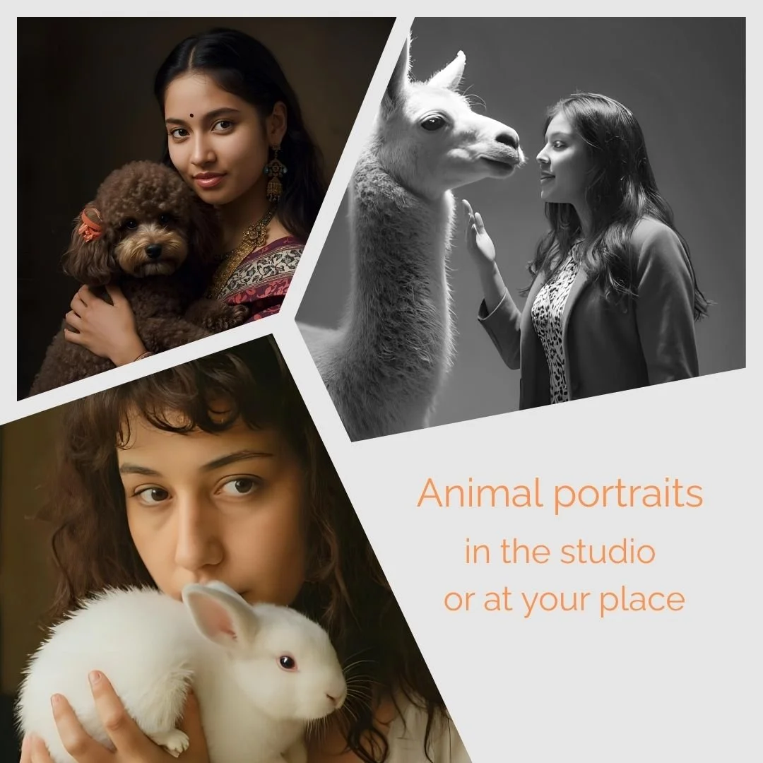 Animal portraits.jpg
