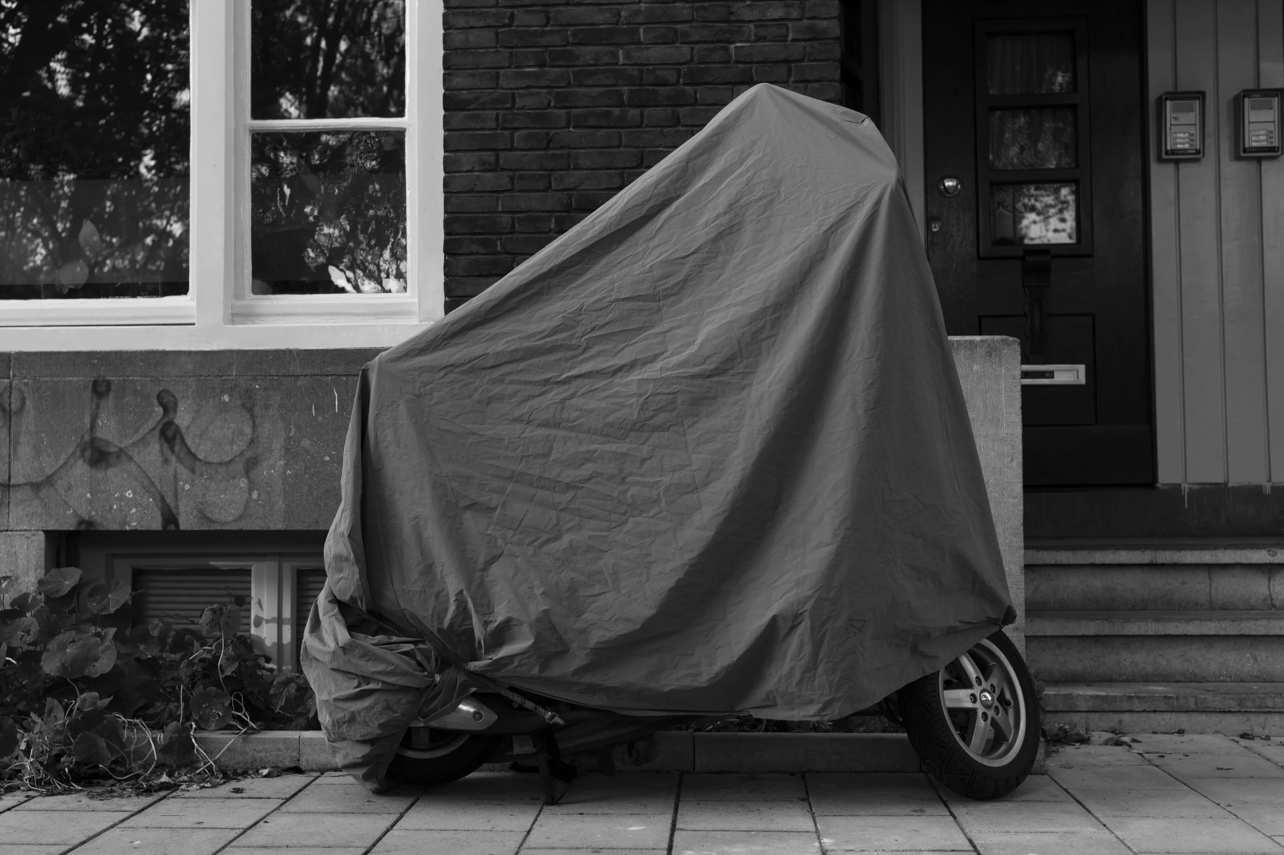 Scroll through the wrapped vehicle photos