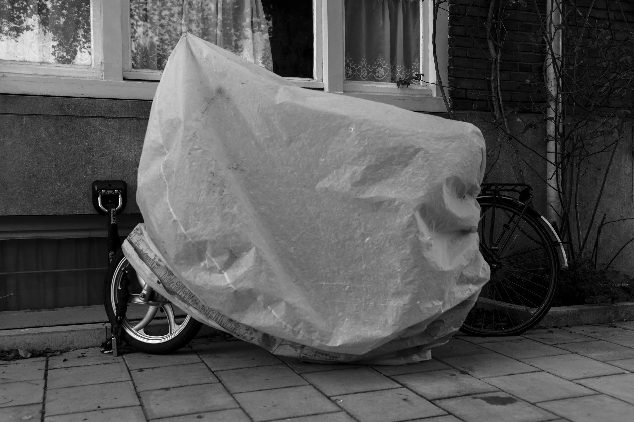 Scroll through the wrapped vehicle photos