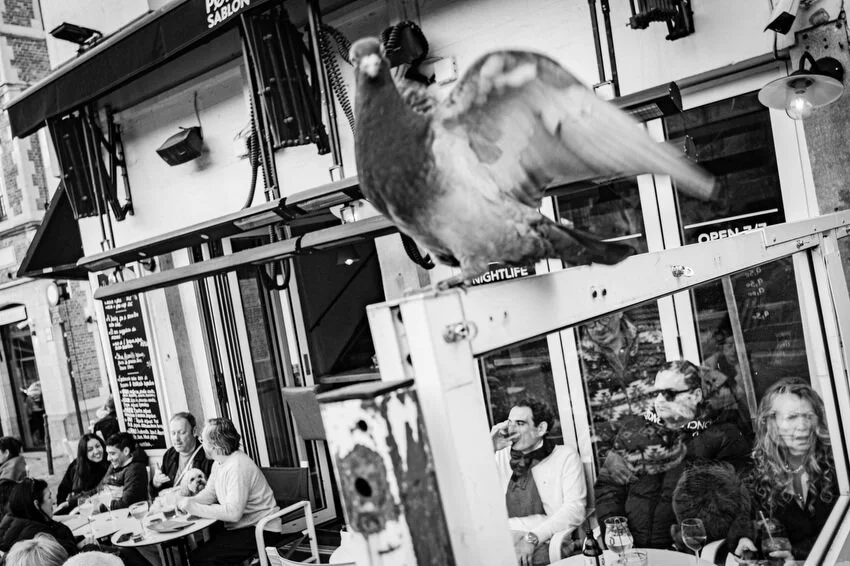 Street photography in Brussels by Sander