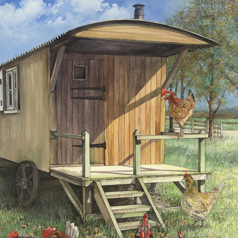 Nellie the Shepherds Hut with Chickens Close Up.png