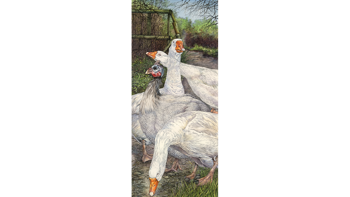 Eric the Goose & Friends