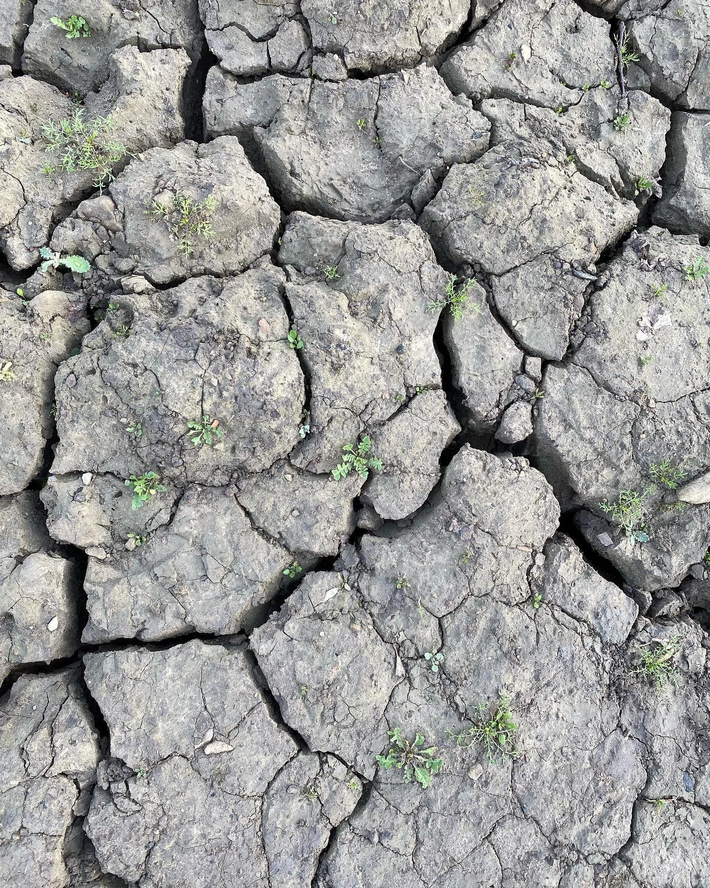 Dry even in Yorkshire