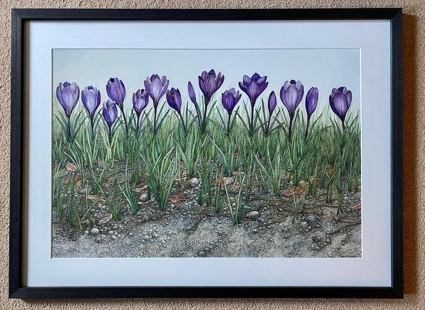 My painting Purple Crocus now being exhibited at the Pond Gallery, Snape Maltings, Suffolk