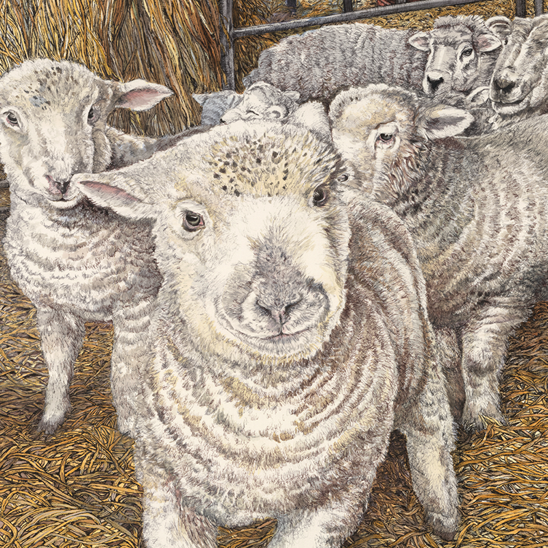 Misteltoe the Ram Lamb & Friends Close Up.png