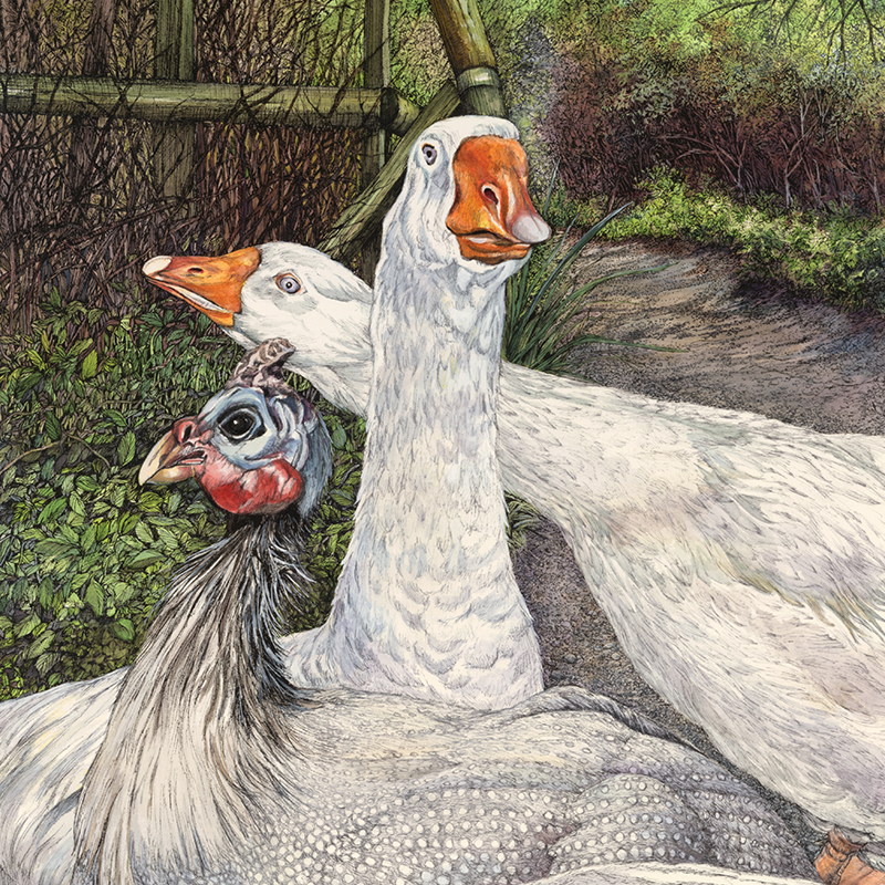 Eric the Goose & Friends Close Up.png