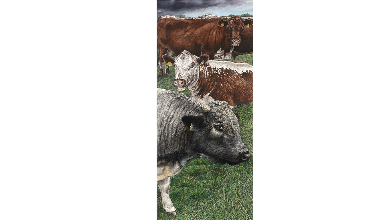 Sam the Albion Bull & Friends