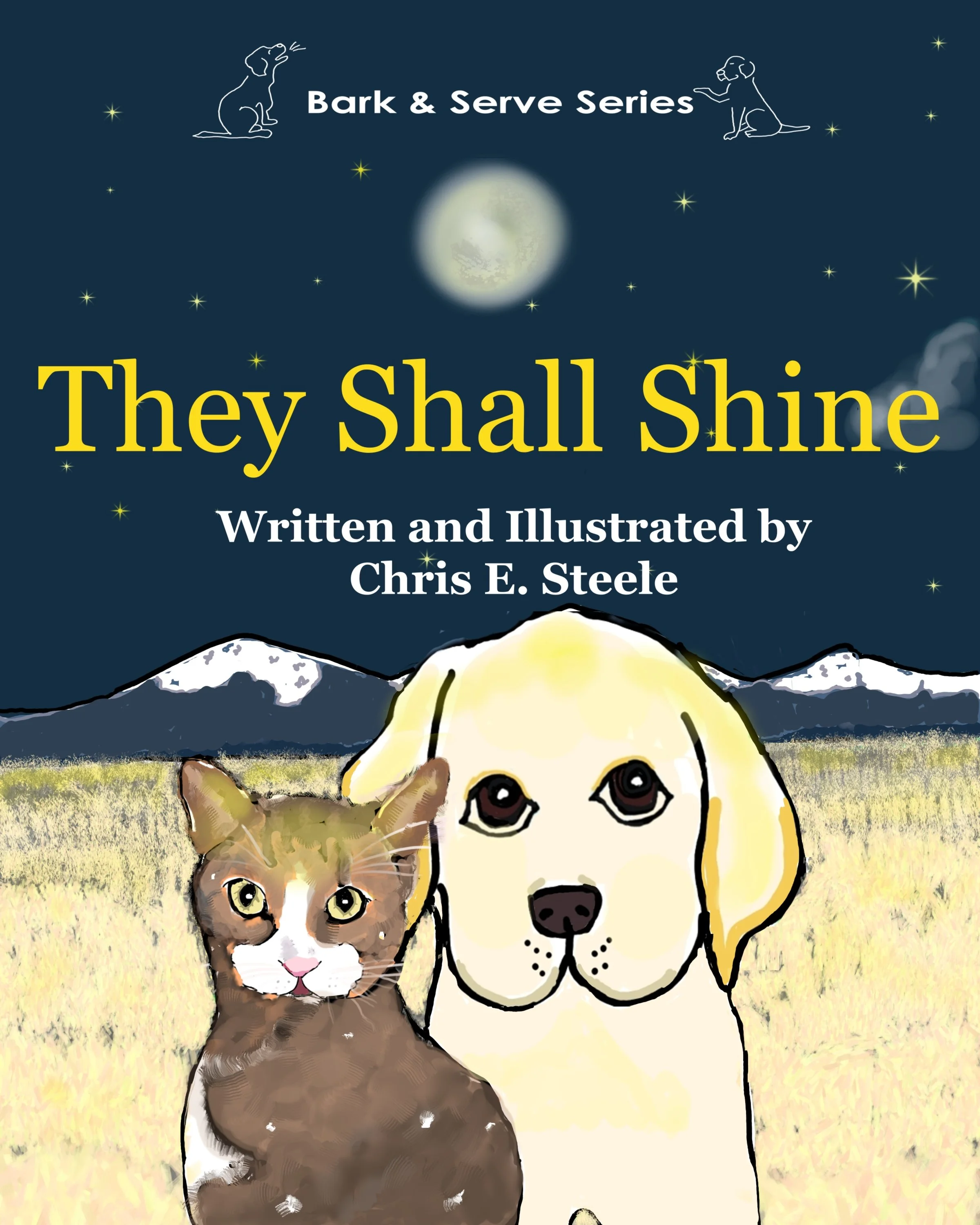 They Shall Shine Book Cover