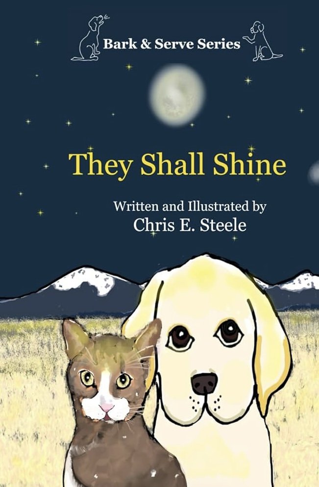 They Shall Shine Book Cover by Chris E. Steele