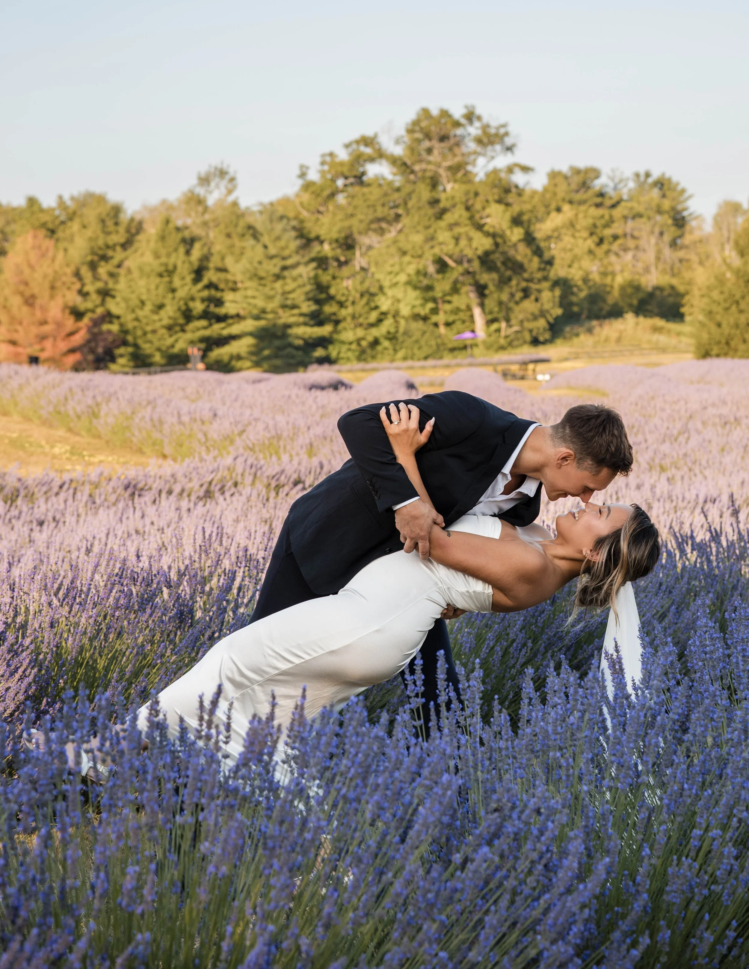 A couple in wedding attire sharing a romantic pose in a lavender field during sunset at Tranquility Trails Farm in Pickering Ontario.
