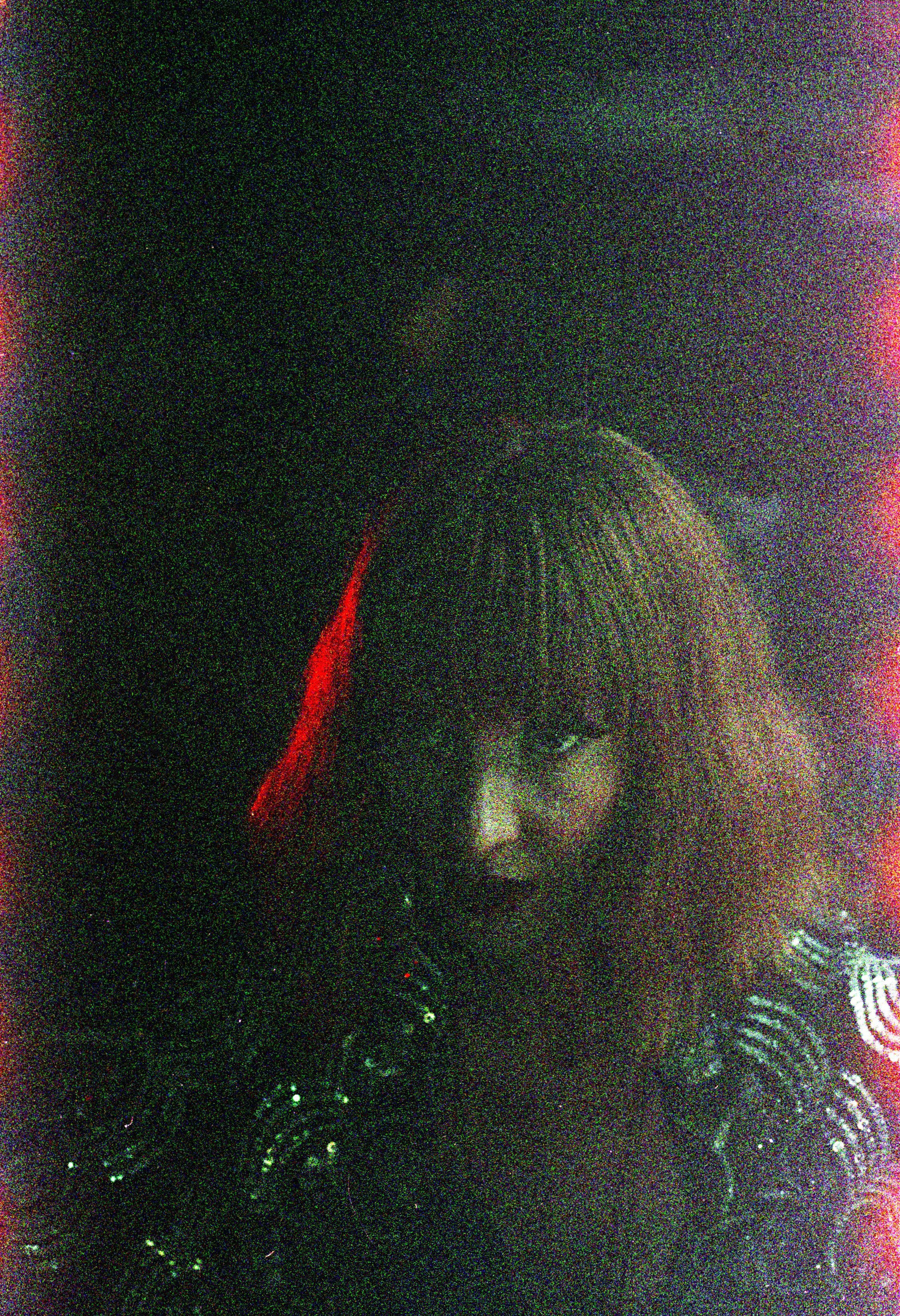 Untitled (8).jpg