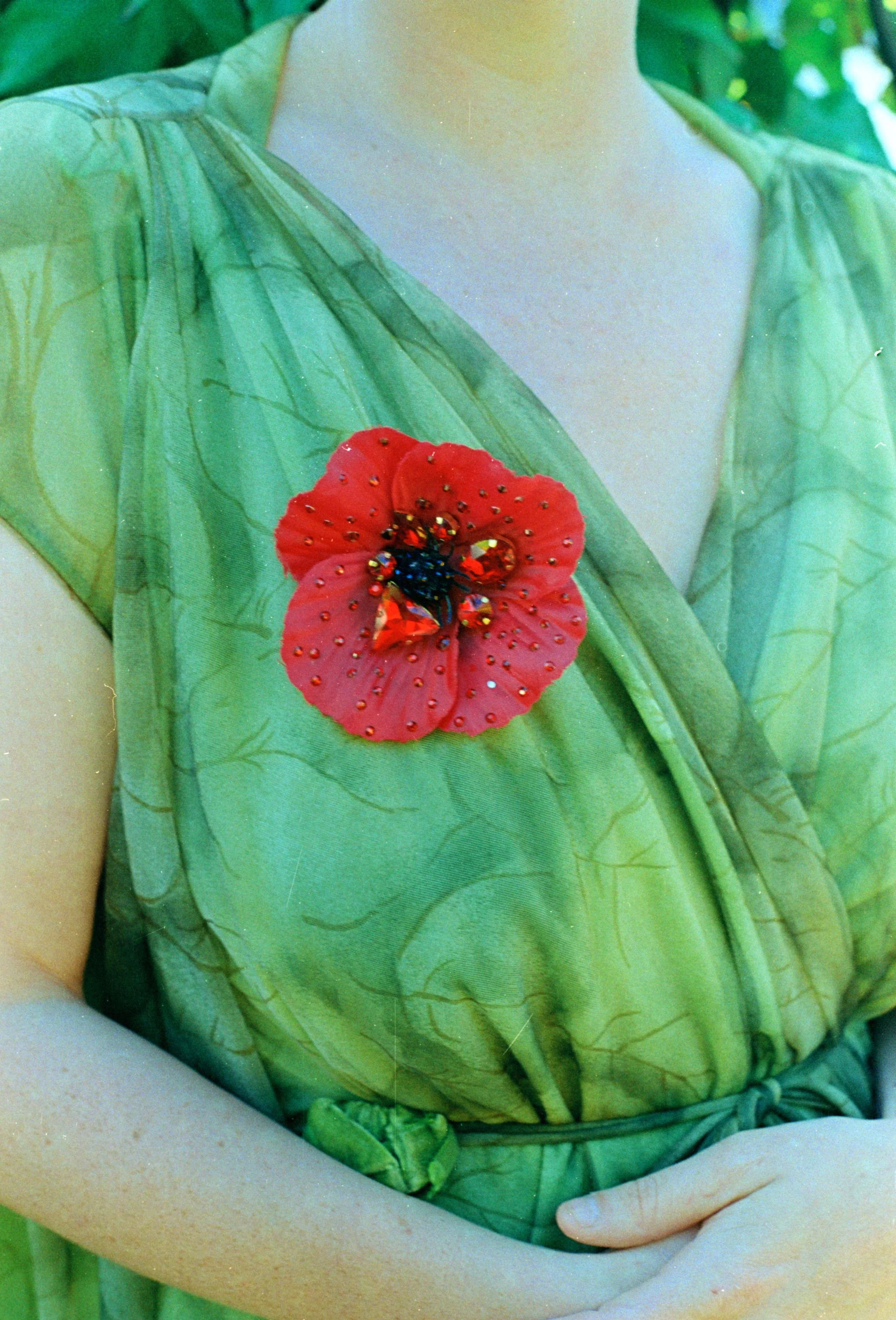 Poppies