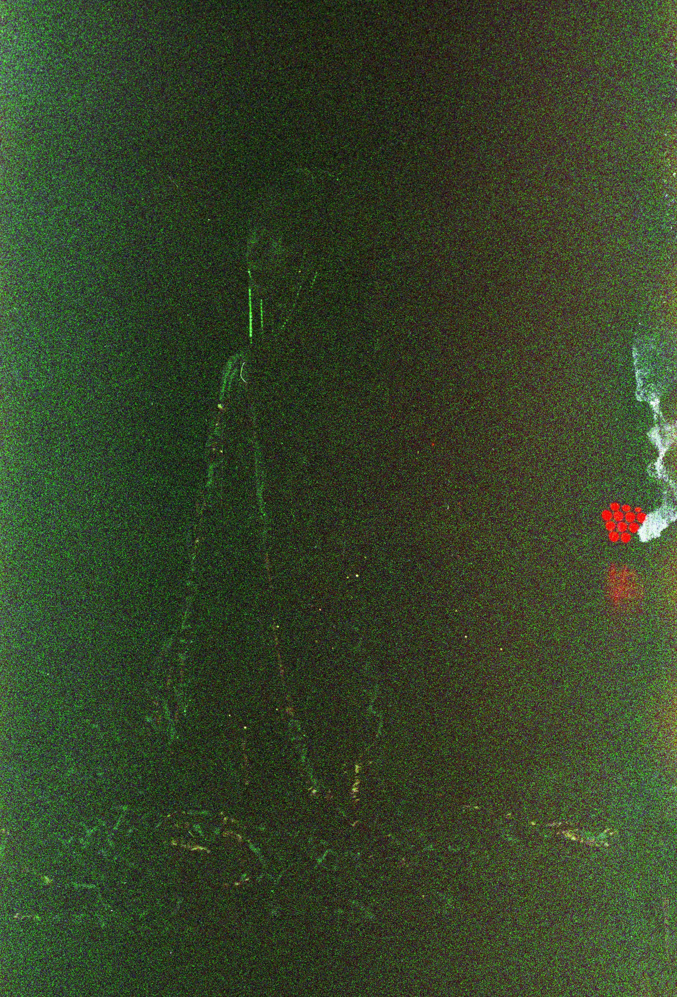 Untitled (43).jpg