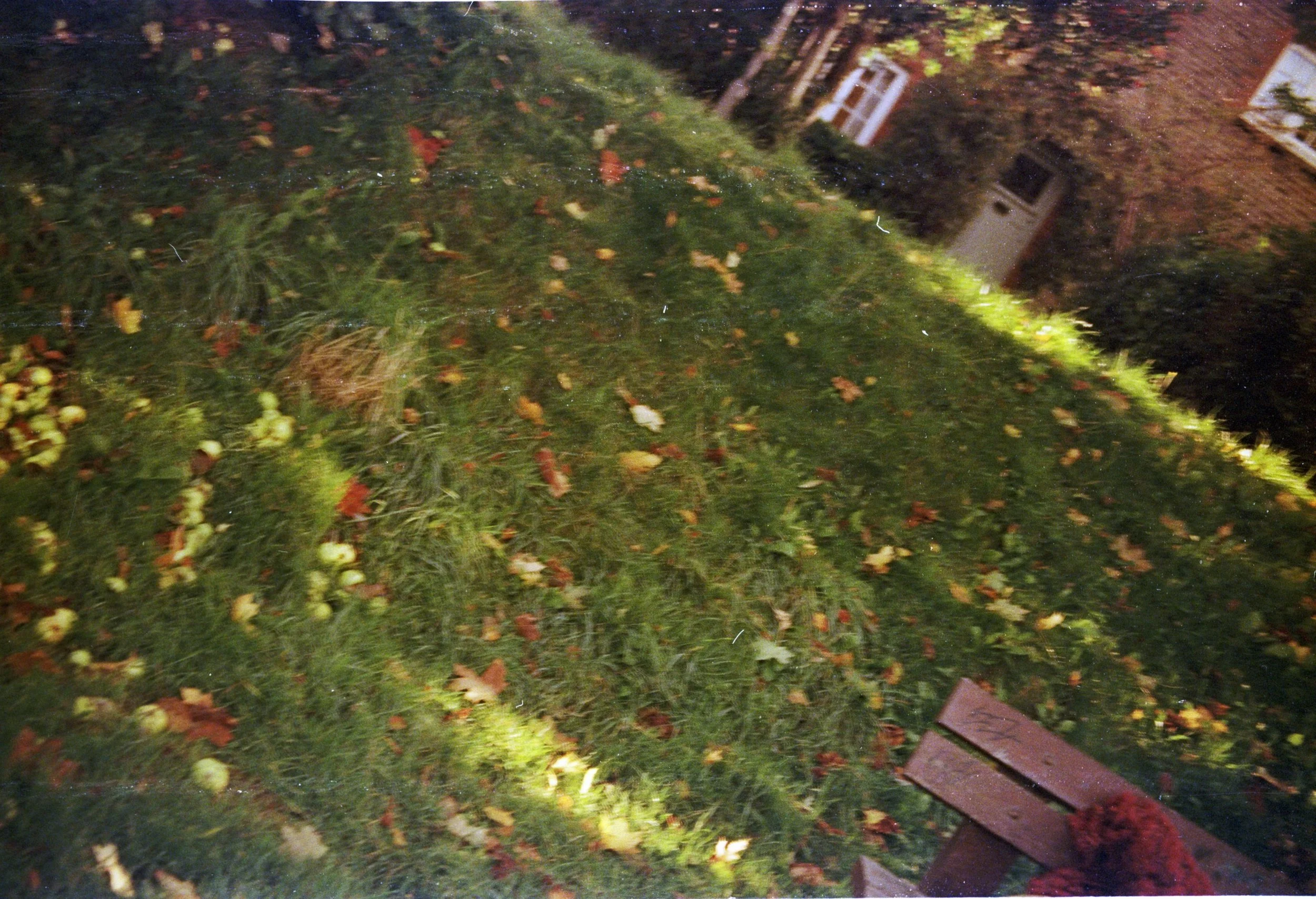 autumn202238.jpg
