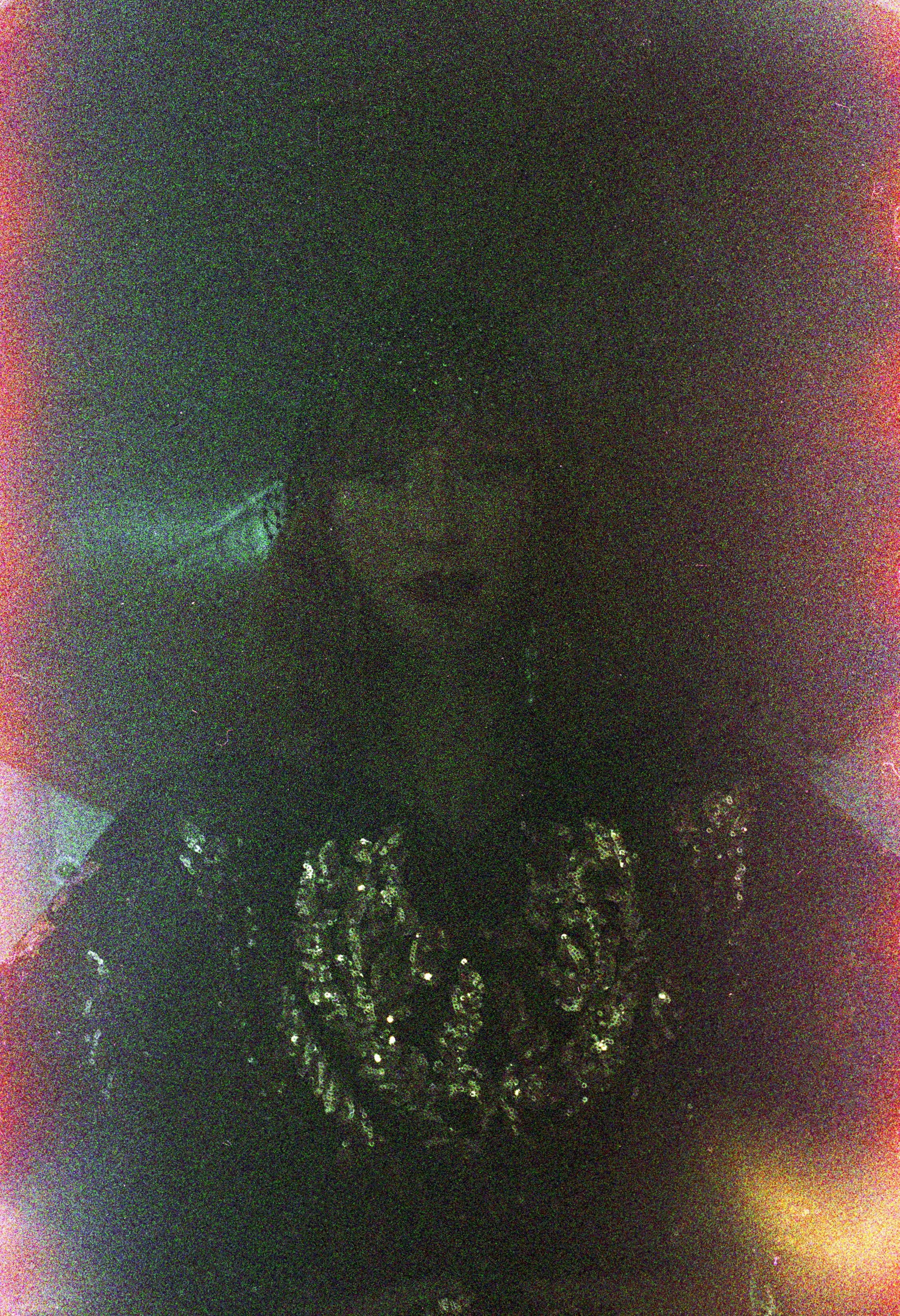 Untitled (26).jpg