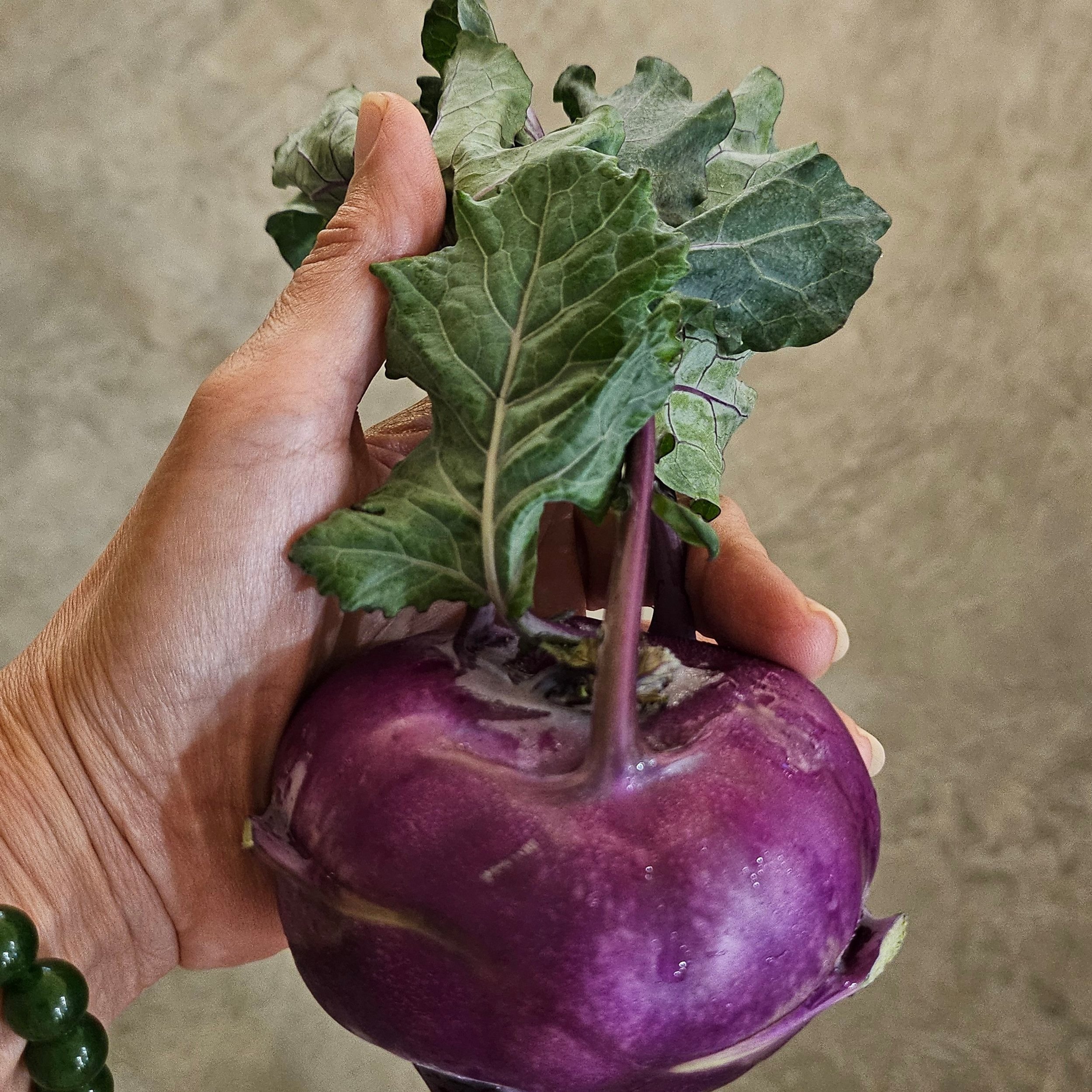 Kohlrabi (Purple or Green)