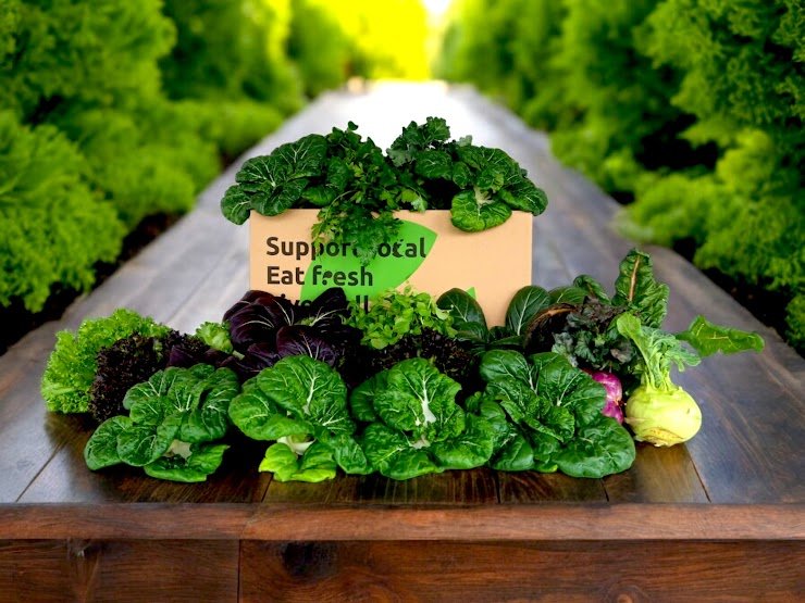 Box E.jpg