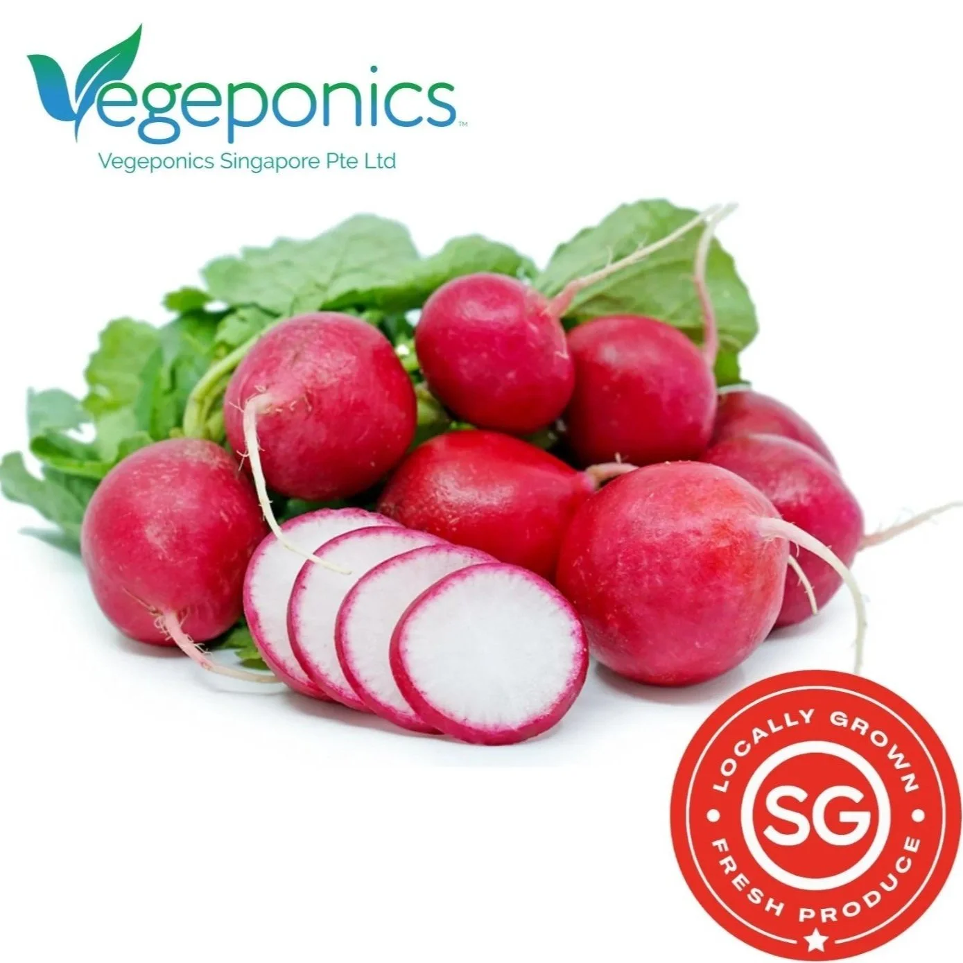 Red Radish Local (from Vegeponics) 150g