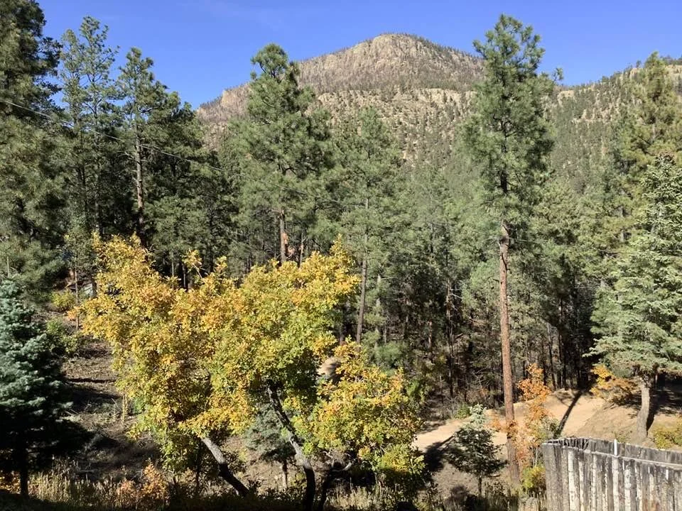 The history of christmas tree toppers