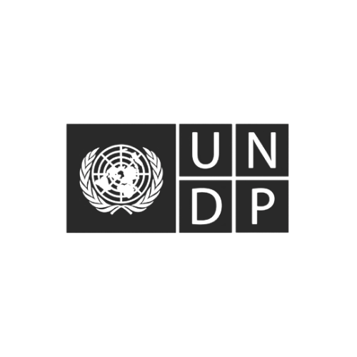undp.png