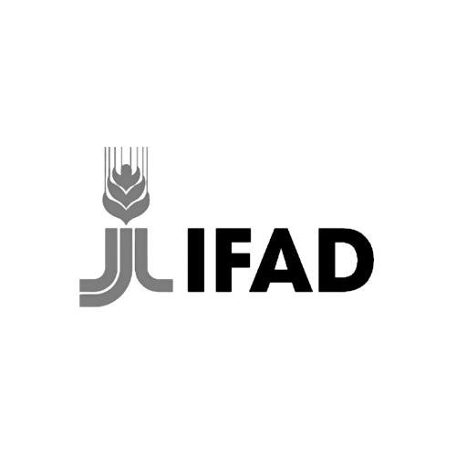 ifad.png