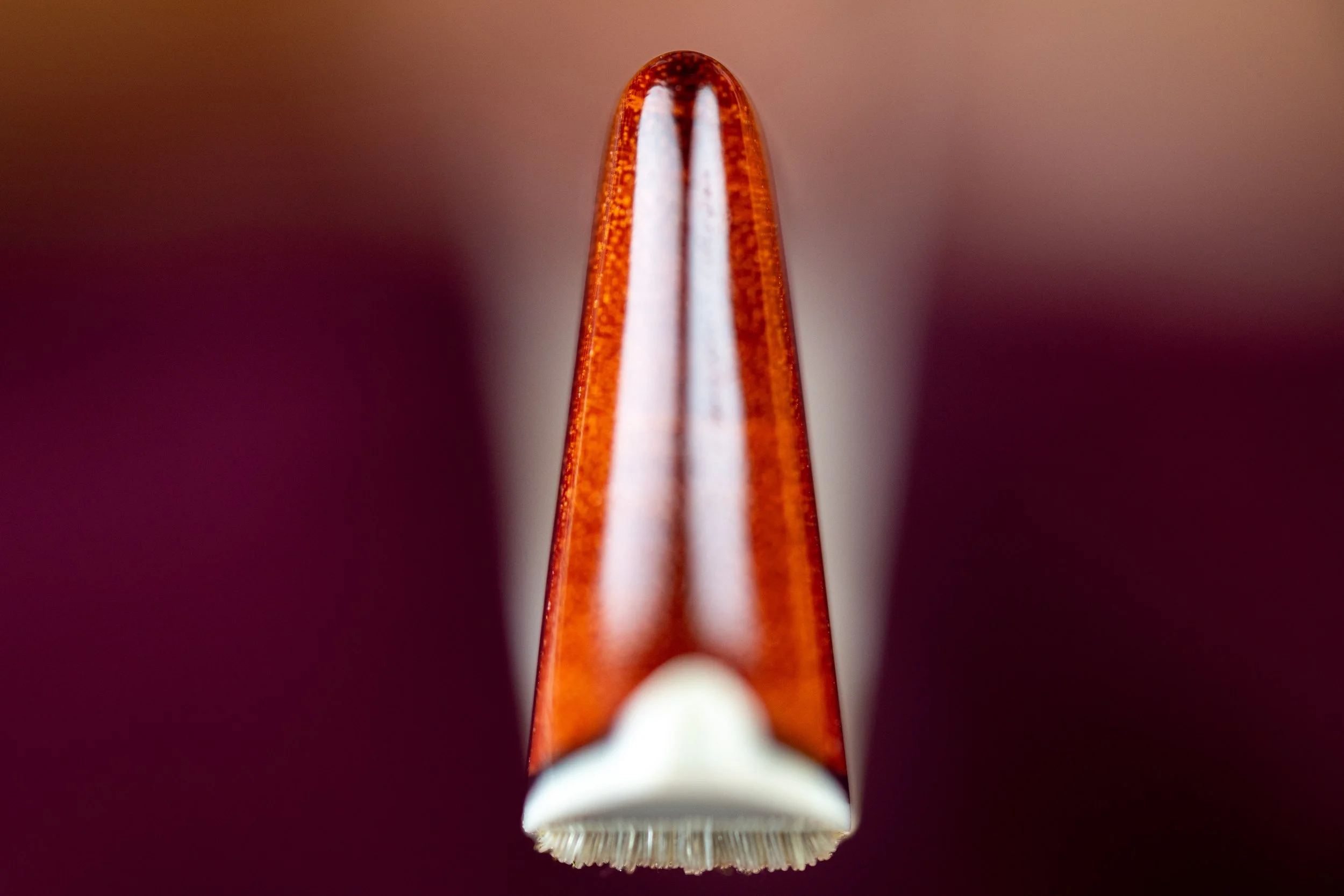 _Q856655-3.jpg
