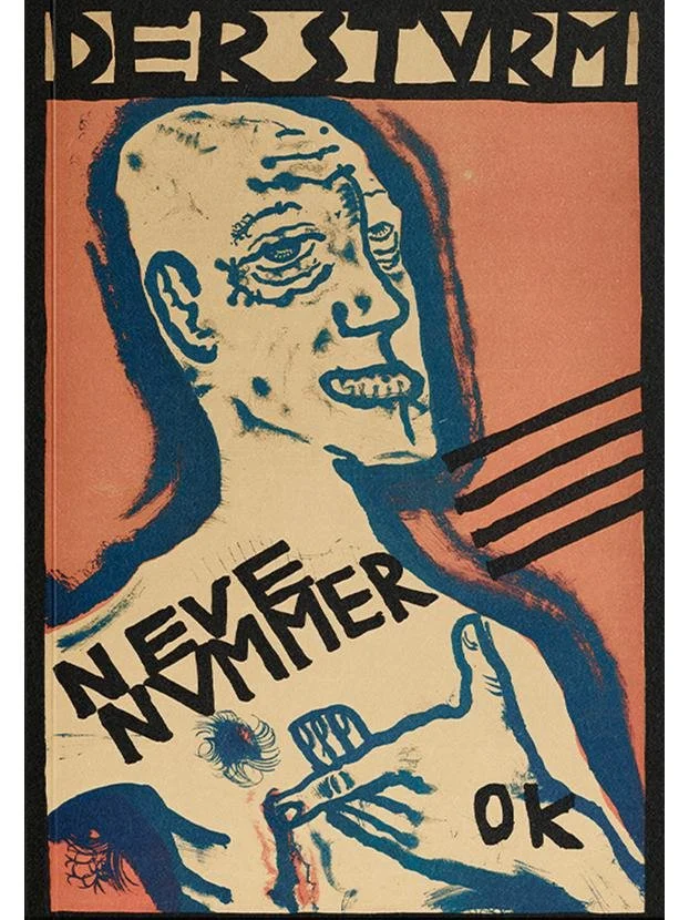 Штурм | Эрнст Юнгер