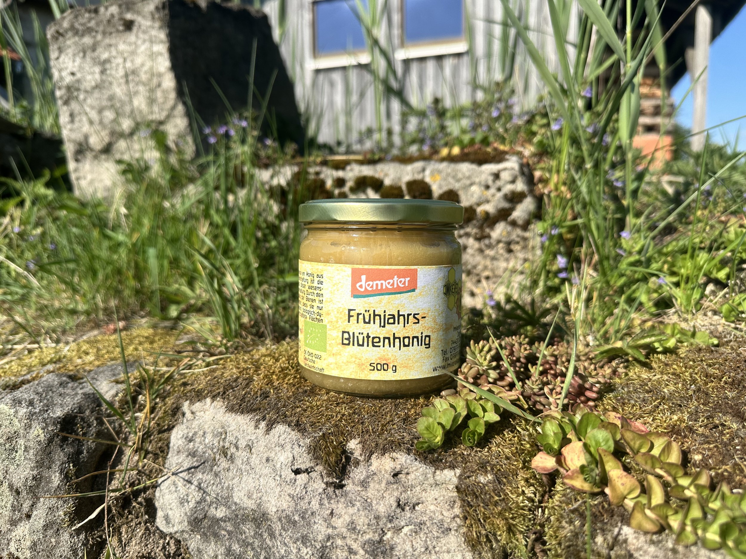 Frühjahrsblüten Honig 500g