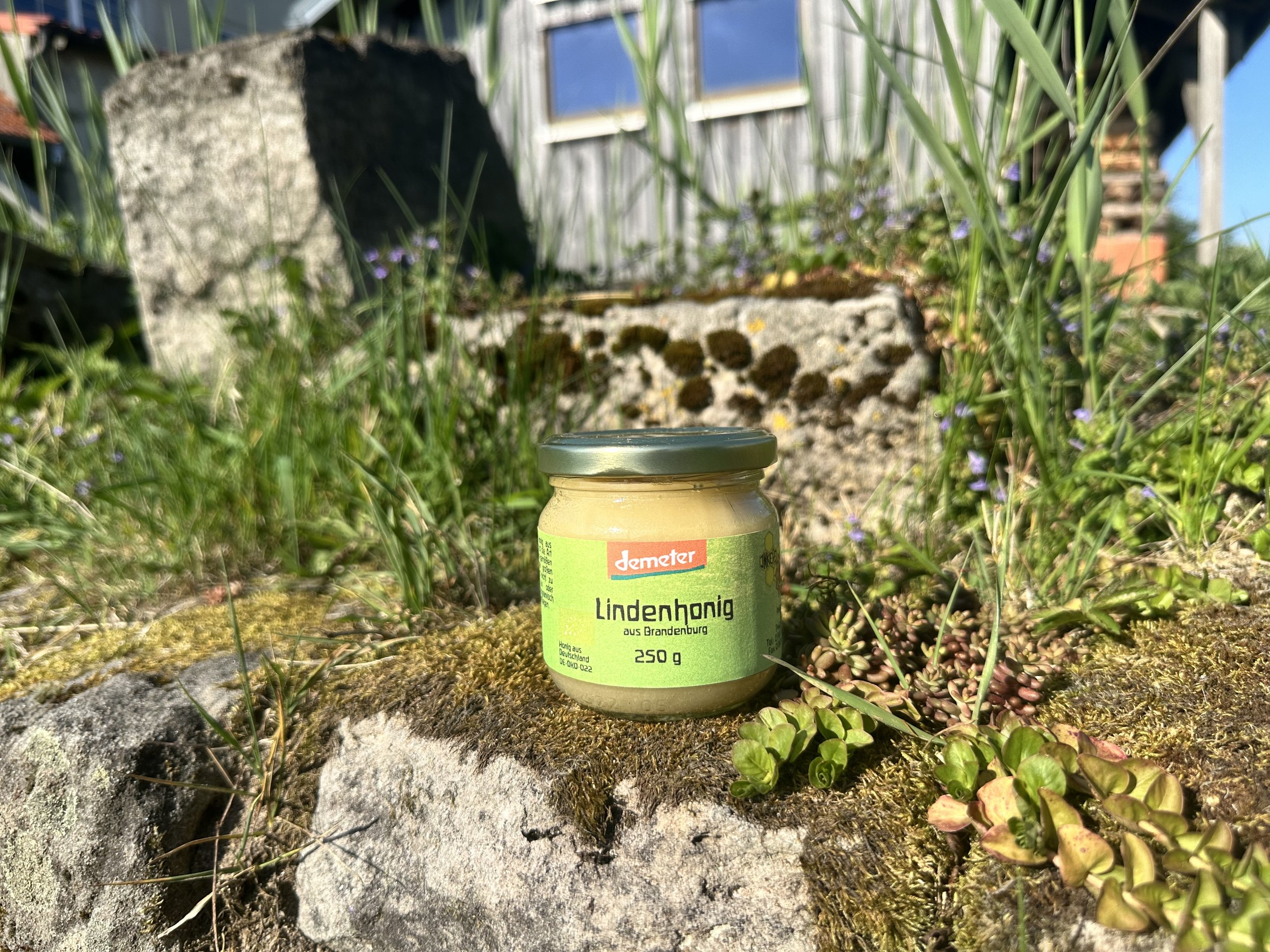 Lindenhonig 250g