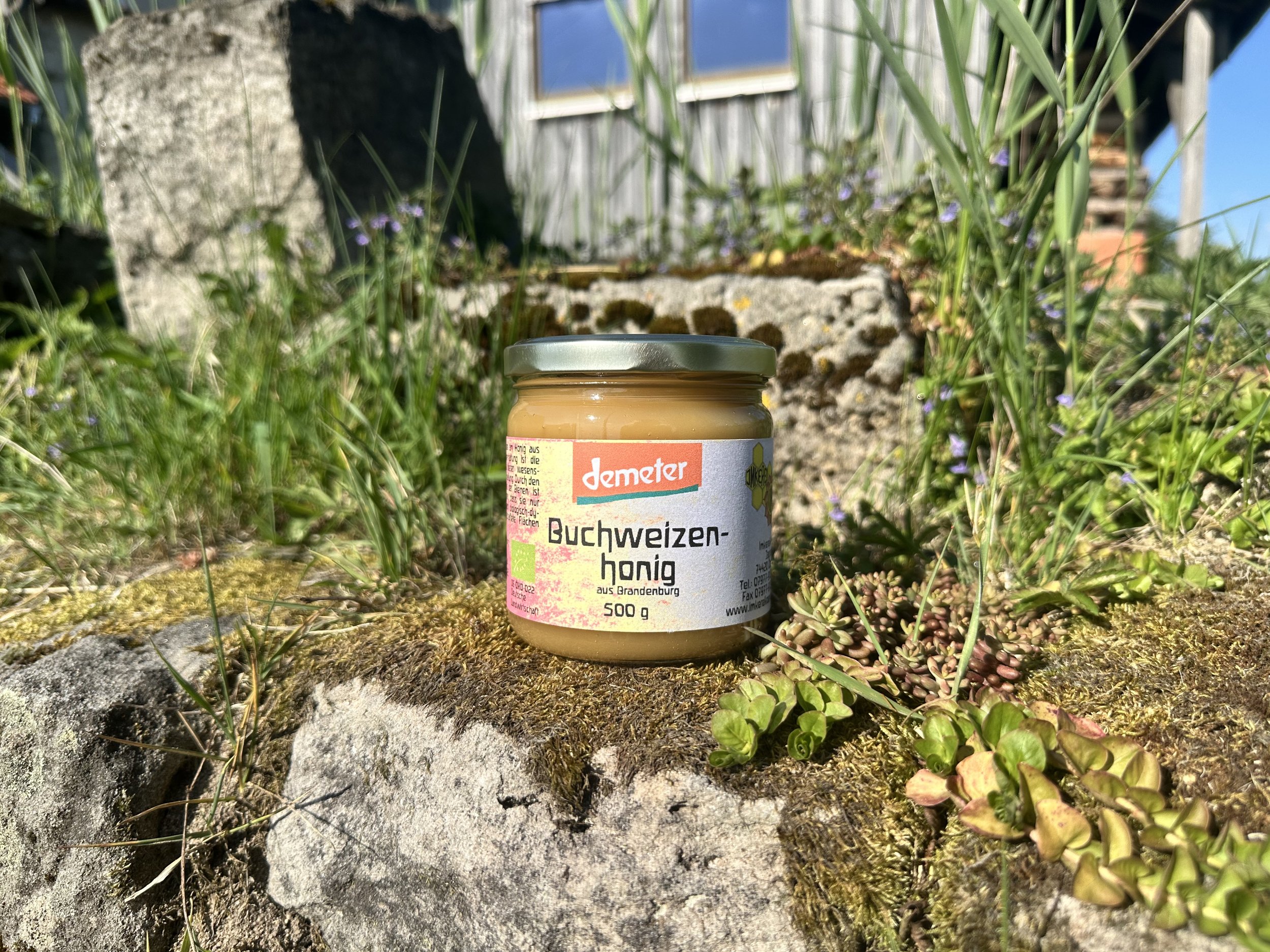 Buchweizen Honig 500g