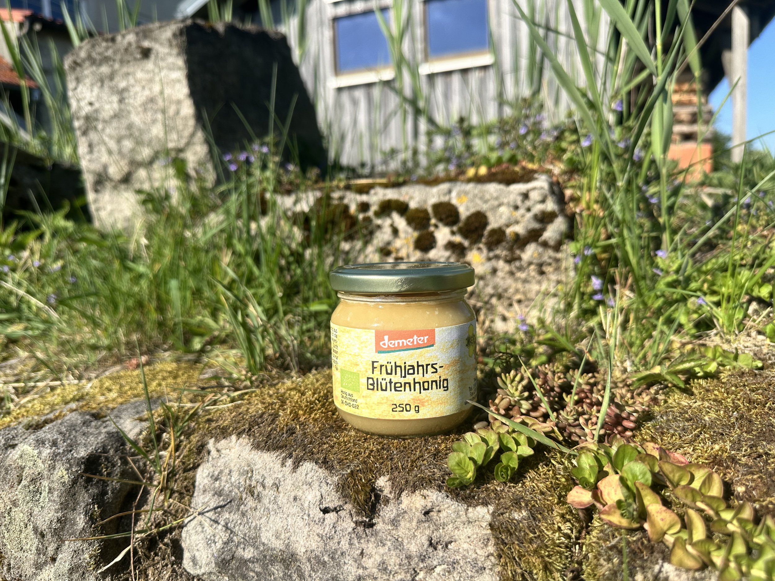 Frühjahrsblüten Honig 250g