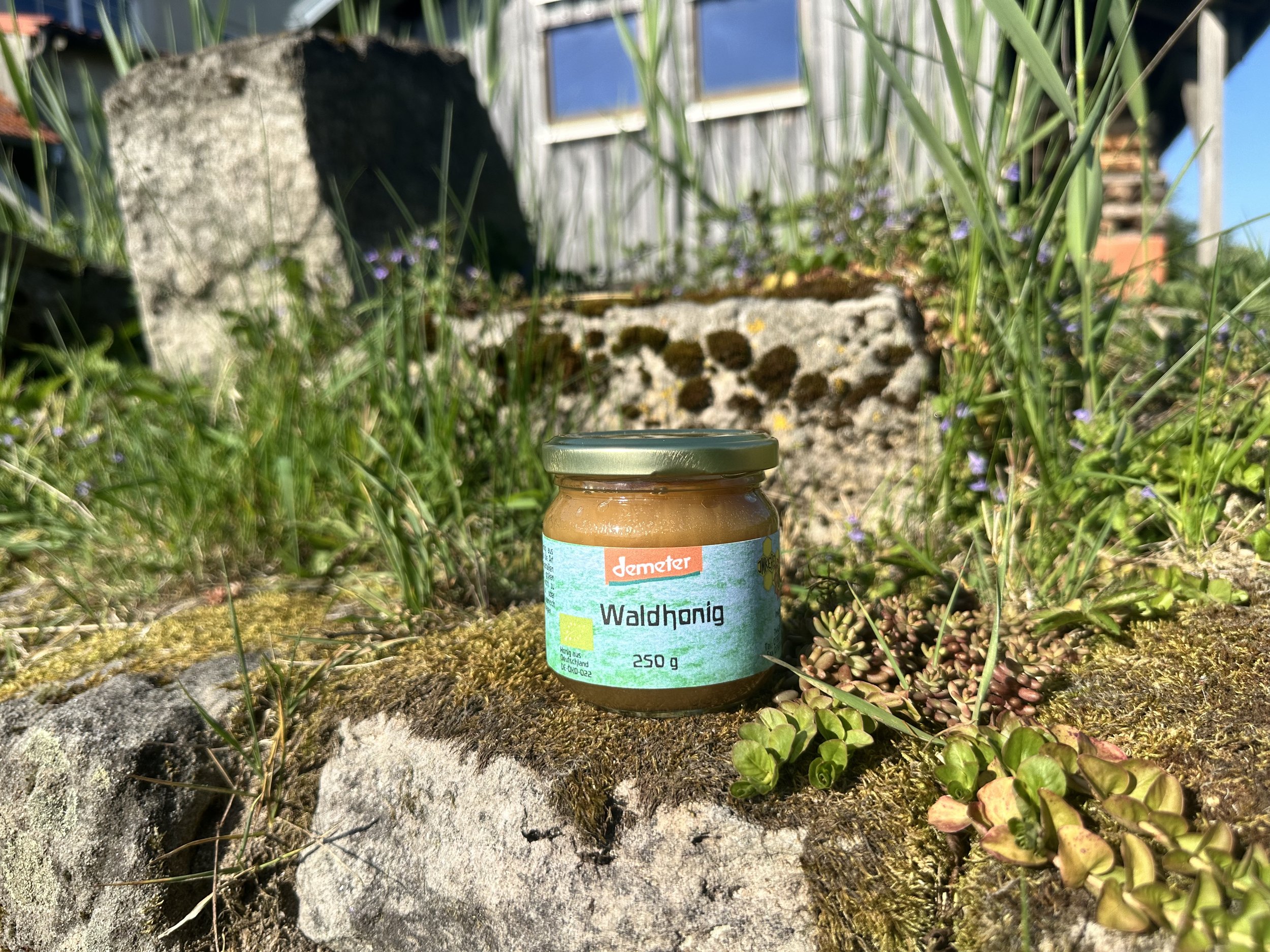 Waldhonig 250g