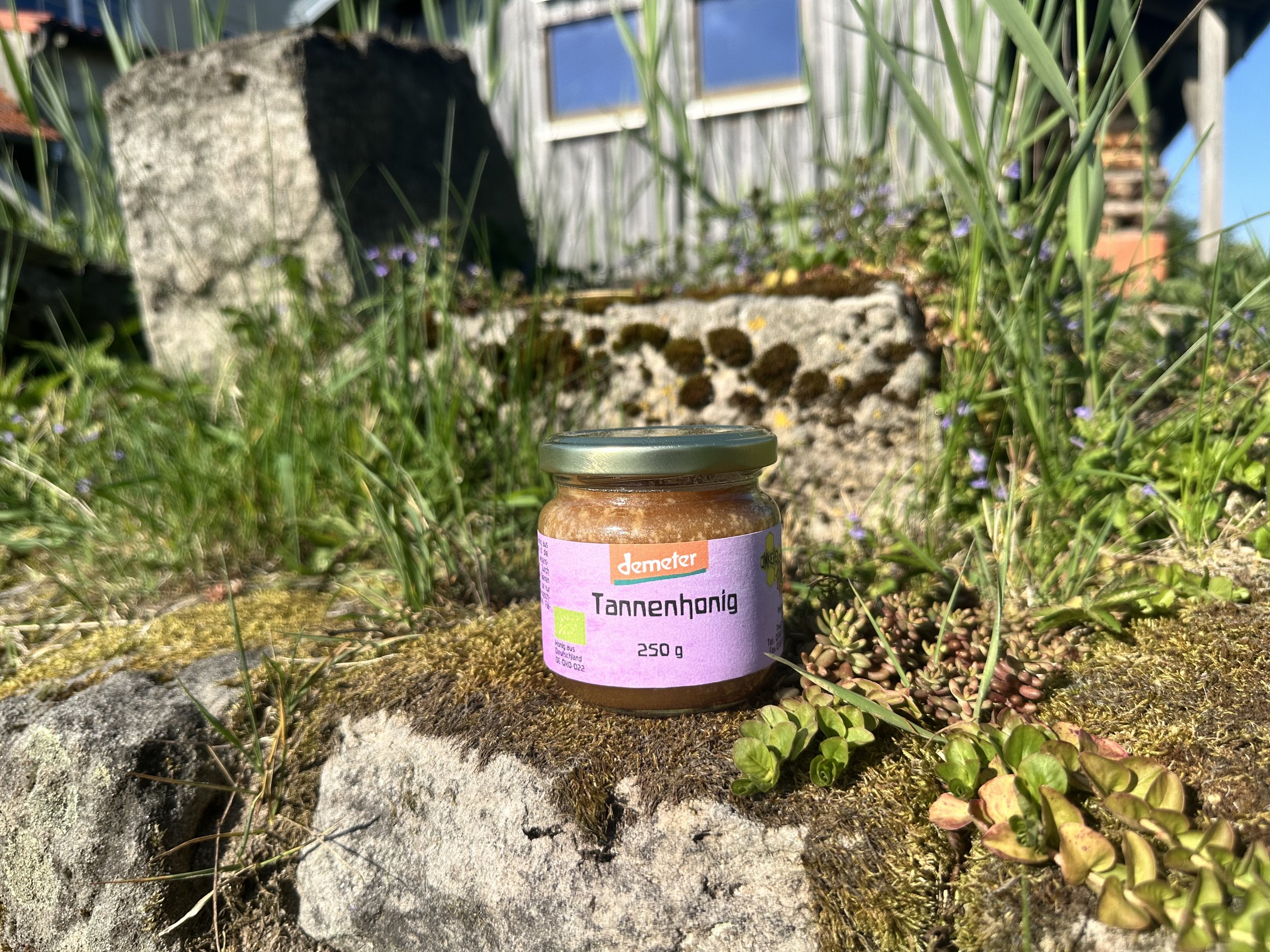 Tannenhonig 250g