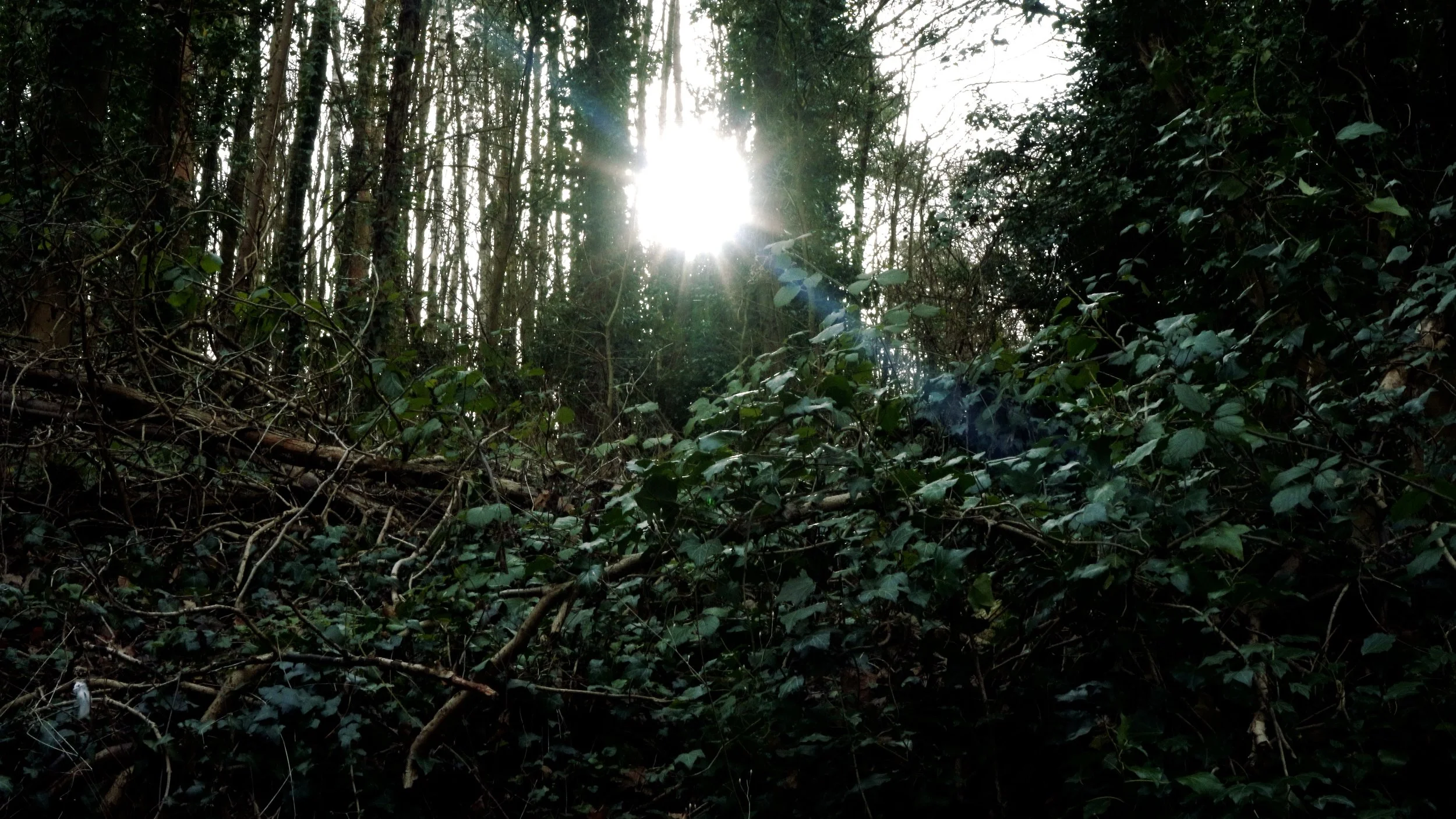 動画ドラえもんの しずかちゃんのセ○クス がめちゃくちゃ - ドラえもん しずかちゃん エロ 動画