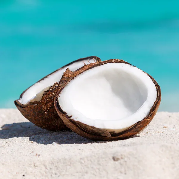 coconut.webp