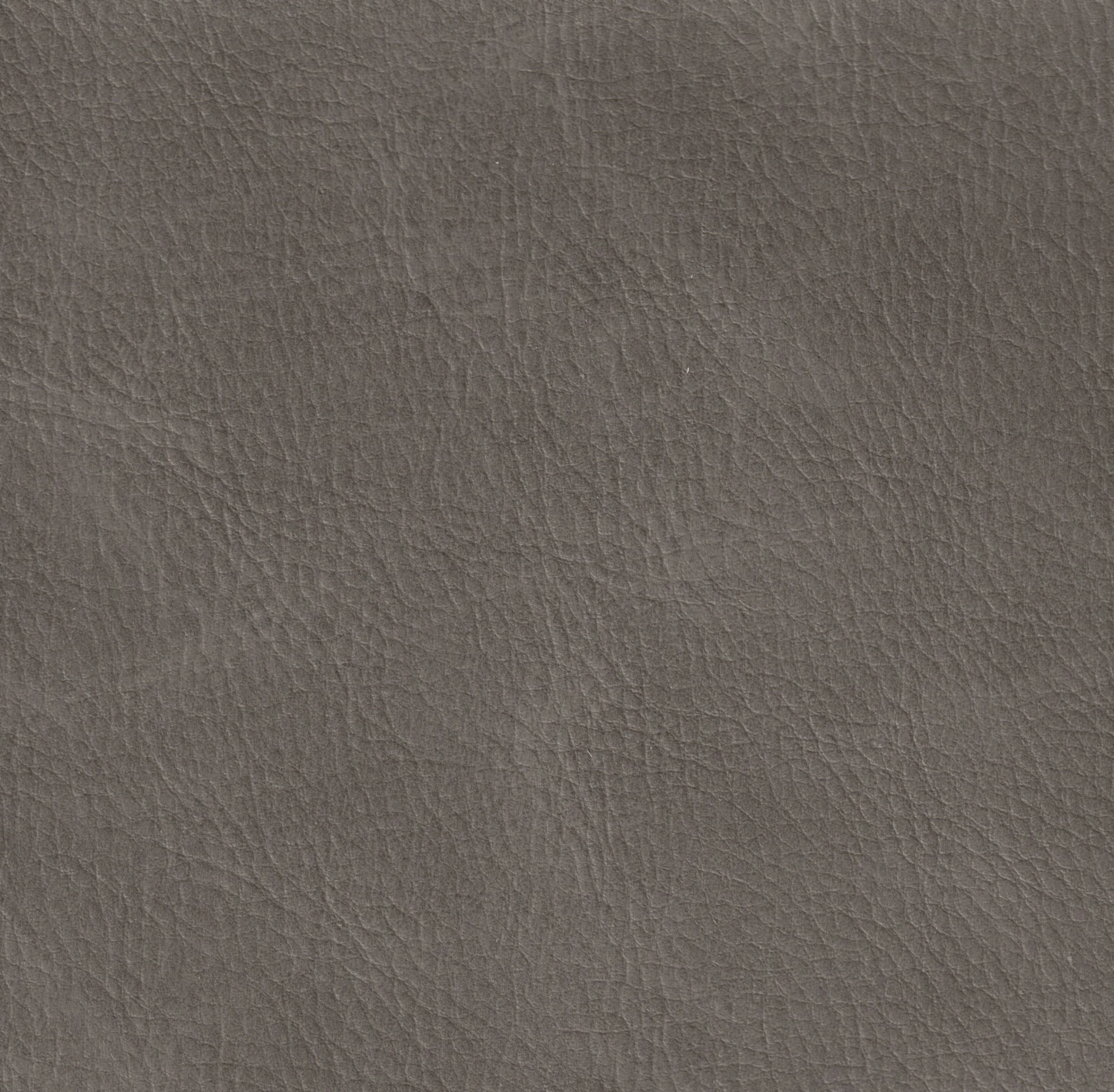 FRWX-2003 You're Pretty Fawnie