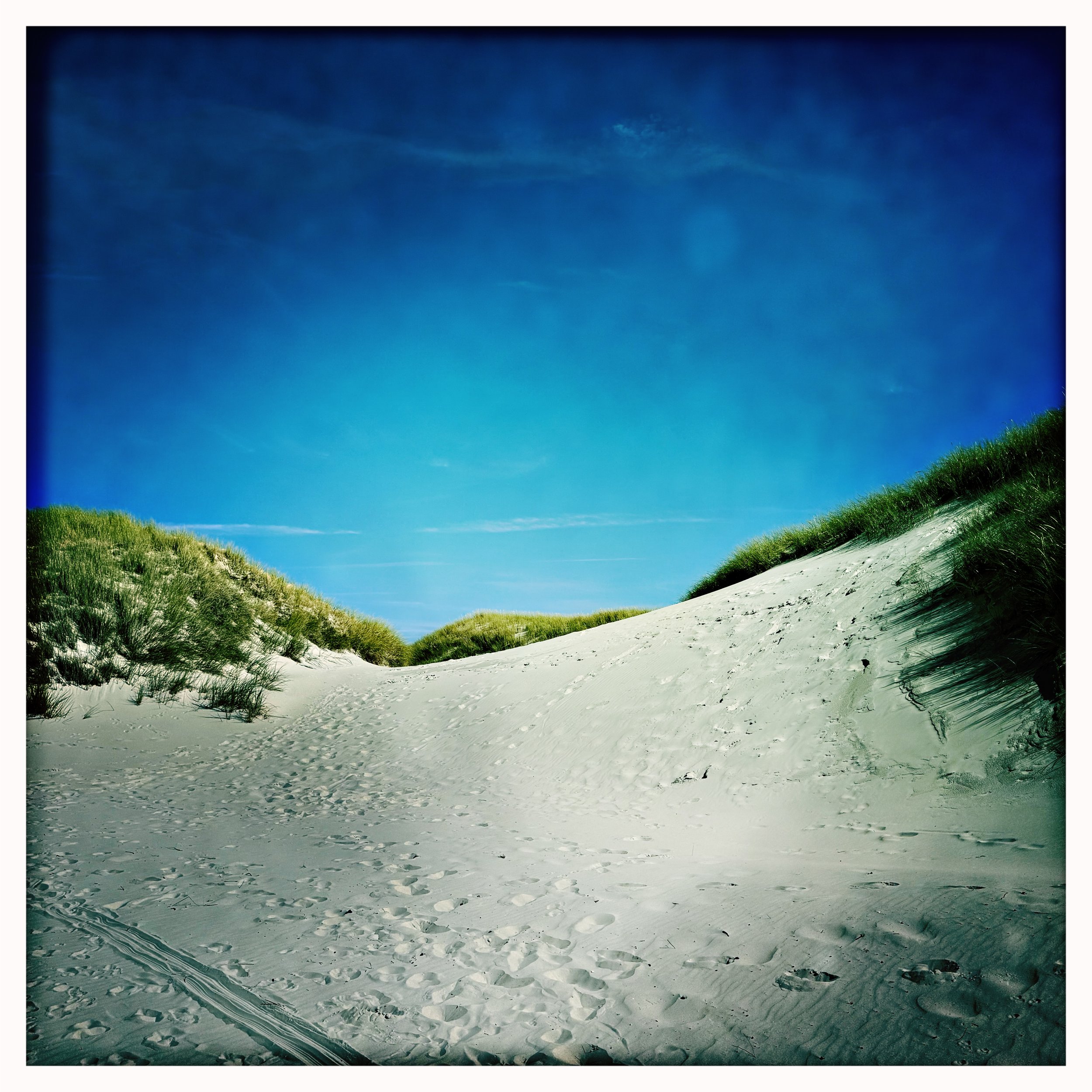 HipstamaticPhoto-743954959.862261.jpeg