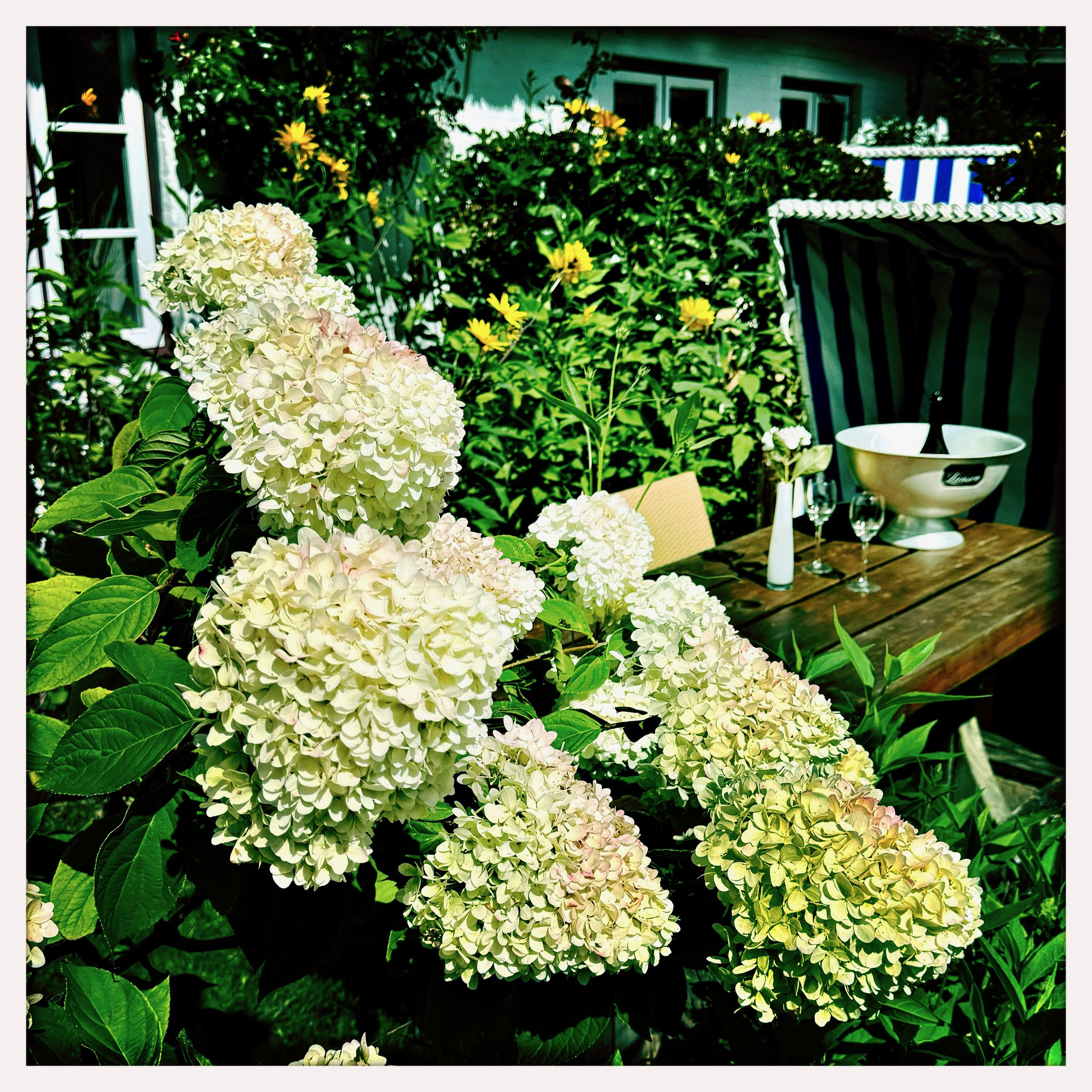 HipstamaticPhoto-744471861.517002.jpeg