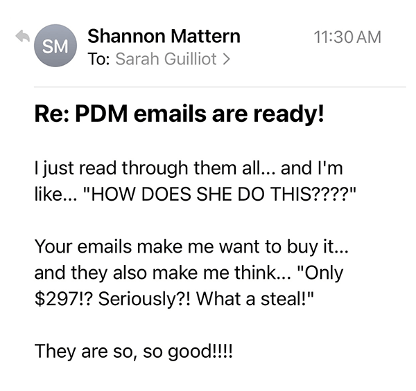 Testimony from Shannon Mattern saying she read through the emails Sarah wrote for her and thought "HOW DOES SHE DO THIS????"
