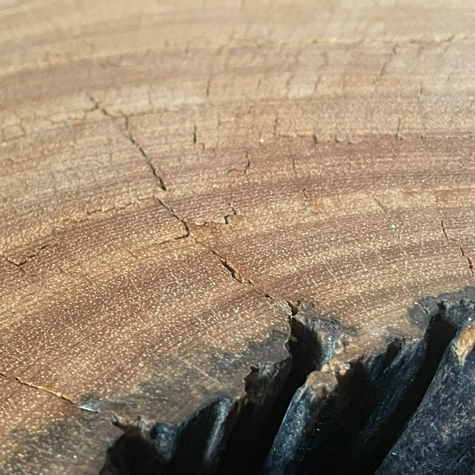 TableDetail.jpg